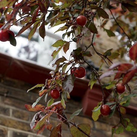 Luxury London Garden Home Sleep 7, 2 Mins To Metro 外观 照片