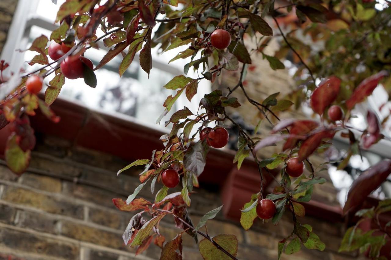 Luxury London Garden Home Sleep 7, 2 Mins To Metro 外观 照片