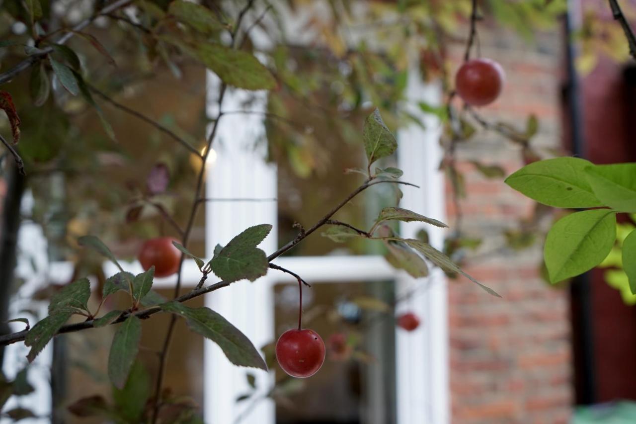 Luxury London Garden Home Sleep 7, 2 Mins To Metro 外观 照片